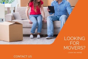 0501566568 BlueBox Movers in Downtwon Dubai,Apartment,Villa,Office Move with Close Truck