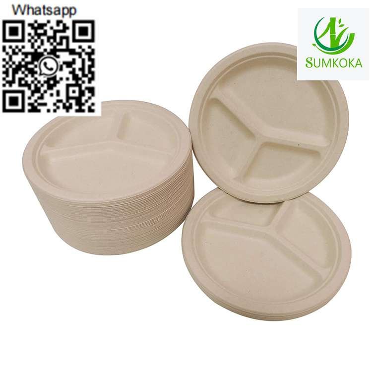 Plate dinner plate disposable plate sugarcane plate