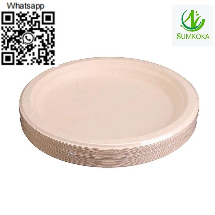 Plate dinner plate disposable plate sugarcane plate