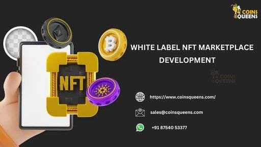 White label NFT marketplace development