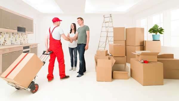 Movers And Packers In Dip 0523820987
