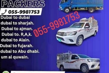 Dubai Movers and Packers +971523820987