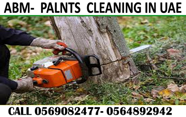 Garden Landscaping Maintenance Service in Dubai Ajman Sharjah