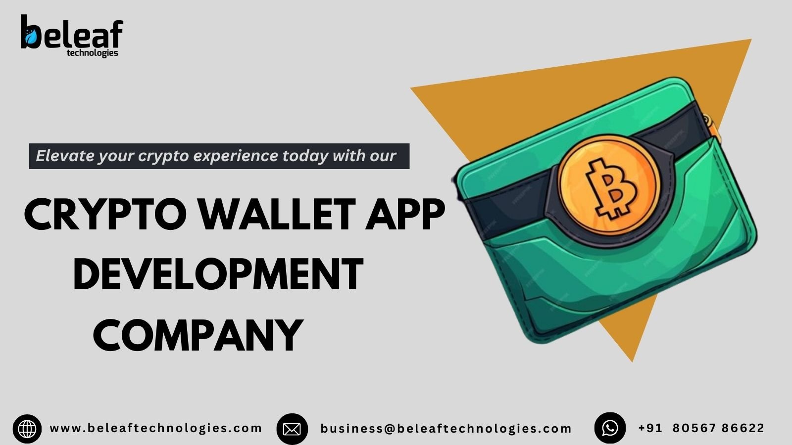 Crypto Wallet App Development Company | Beleaf Technologies