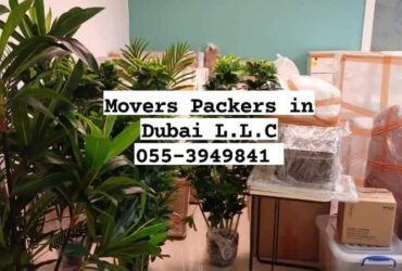 Packers and Movers Service in Al Barari Dubai