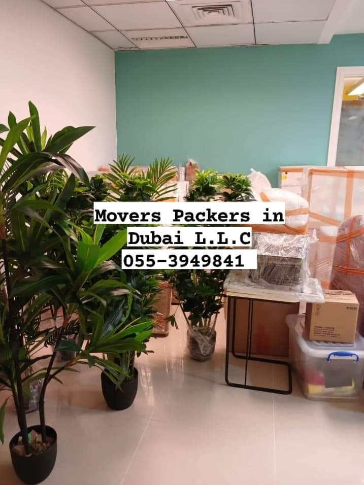 Packers and Movers Service in Al Barari Dubai