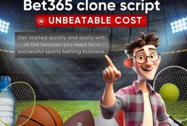 Quick Start Bet365 Clone script – Cost-Effective Betting Solution