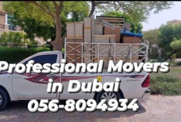 Professional Movers packers in Spring Meadows Dubai 0568094934