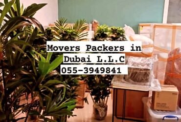Movers and Packers Services in Dubai 055-3949841