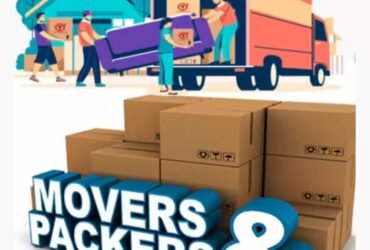 Movers and Packers in Dubai Sports city 0568094934