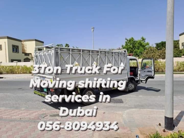 Professional Movers packers in Dubai investment Park dip0568094934