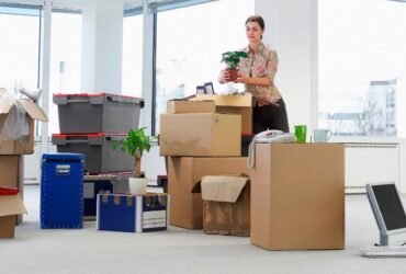 Movers Packers Discovery Garden Dubai 0559972621