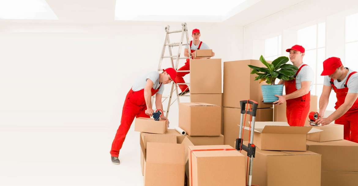 professional Movers Packers Dubai Hills 0559972621